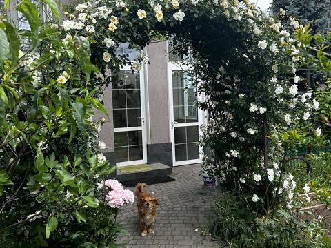 дом по адресу 5 - ЛИНИЯ, 3