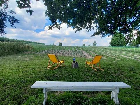 ділянка за адресою с. Середній Горб, 