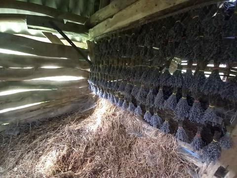 ділянка за адресою с. Середній Горб, 