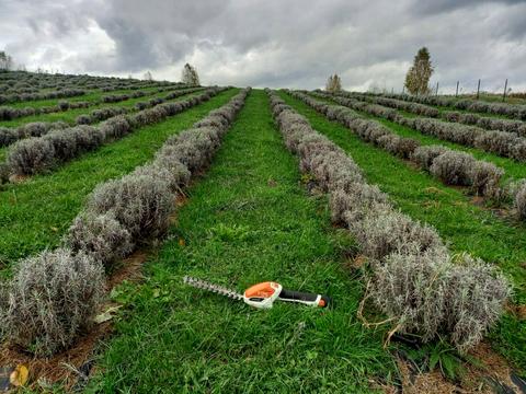 ділянка за адресою с. Середній Горб, 