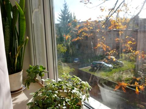 квартира за адресою Рєпіна вул., 16