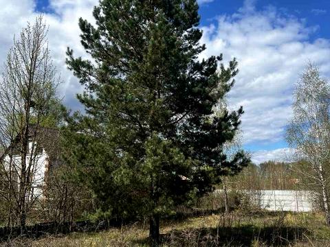 ділянка за адресою Лісний пров.