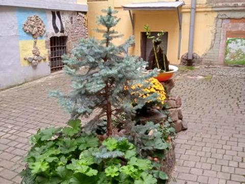 квартира по адресу Асташкина ул. (Крива), 17