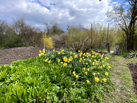 будинок за адресою Осовиця вул.