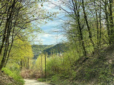 будинок за адресою Осовиця вул.