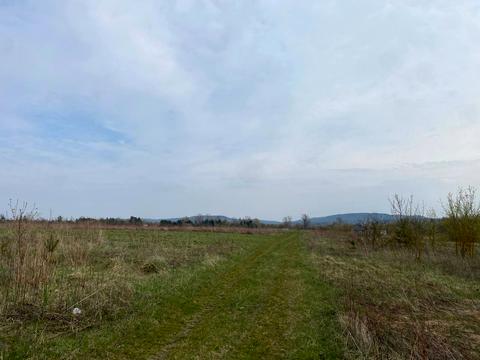 ділянка за адресою с. Білокриниця, мельника вячеслава