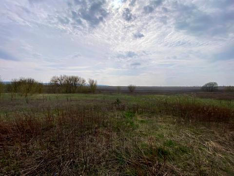 ділянка за адресою с. Білокриниця, мельника вячеслава