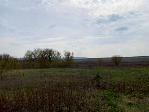 ділянка за адресою с. Білокриниця, мельника вячеслава