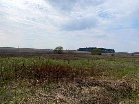 ділянка за адресою с. Білокриниця, мельника вячеслава