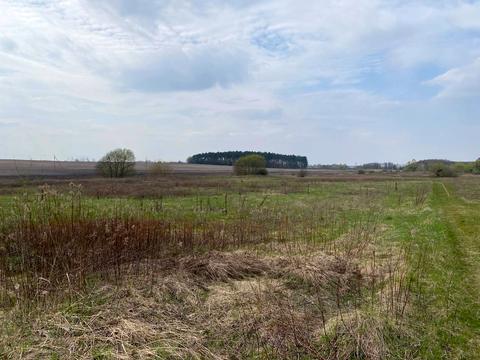 ділянка за адресою с. Білокриниця, мельника вячеслава