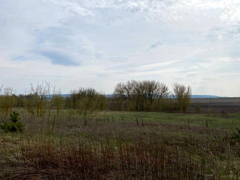 ділянка за адресою с. Білокриниця, мельника вячеслава