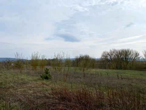 ділянка за адресою с. Білокриниця, мельника вячеслава