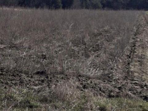 участок по адресу Польова