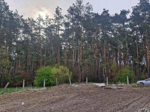 ділянка за адресою Рідна, 34