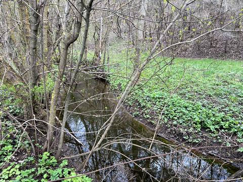 ділянка за адресою 