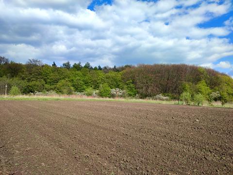 ділянка за адресою 