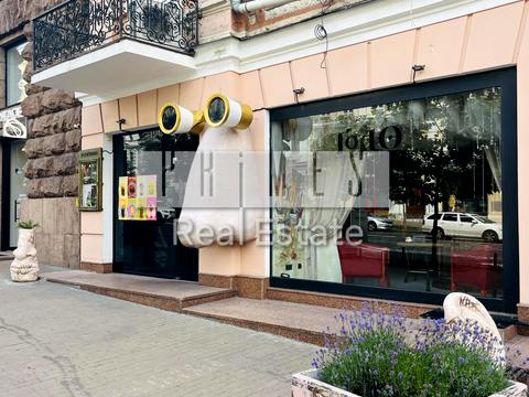 комерційна за адресою Велика Васильківська вул. (Червоноармійська), 33