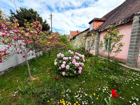 будинок за адресою Віталія Постолакі пл.