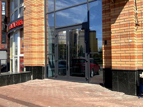 комерційна за адресою Левка Лук'яненка вул. (Маршала Тимошенка), 21