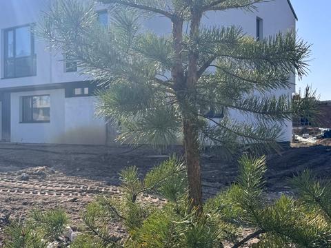 будинок за адресою Відрадне