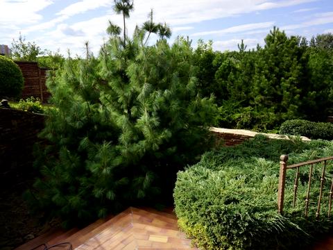 будинок за адресою Дмитра Антоненка вул. (Мінська)