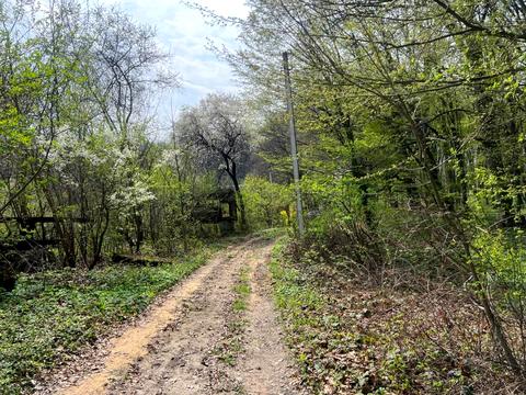 ділянка за адресою 