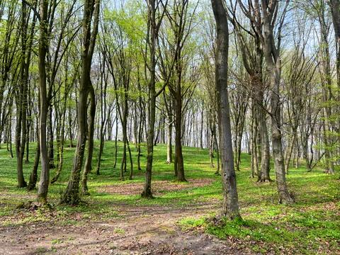 ділянка за адресою 