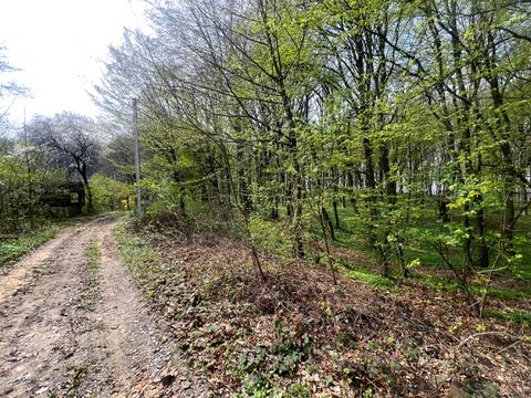 ділянка за адресою 