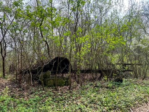 ділянка за адресою 