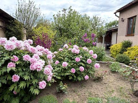 будинок за адресою Віталія Постолакі пл., 3