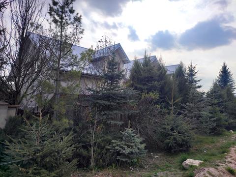 коммерческая по адресу Коновальця, 2А