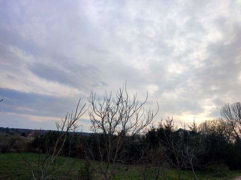 коммерческая по адресу Коновальця, 2А