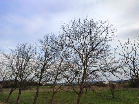 коммерческая по адресу Коновальця, 2А