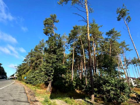 ділянка за адресою Варшавська траса