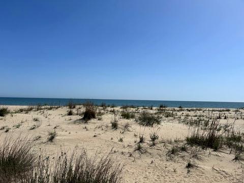 коммерческая по адресу Лазурна, 63