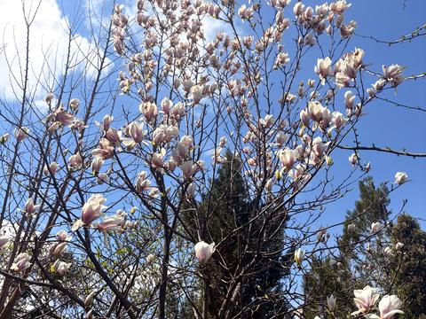будинок за адресою Лесі Українки вул., 22