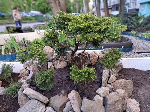 квартира за адресою житловий масив Тополя-2 вул., 2