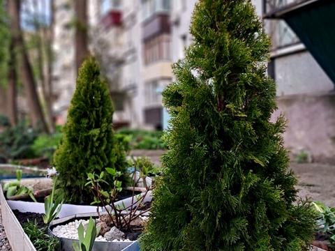 квартира за адресою житловий масив Тополя-2 вул., 2