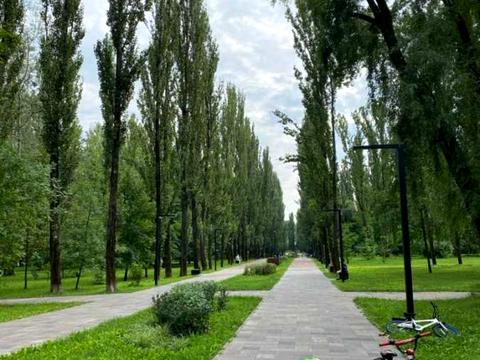 комерційна за адресою Олени Теліги вул., 25