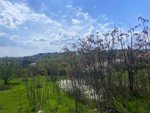 участок по адресу Водяний провулок, 19