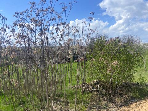 участок по адресу Водяний провулок, 19