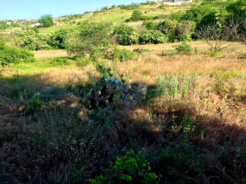 участок по адресу Водяний провулок, 19