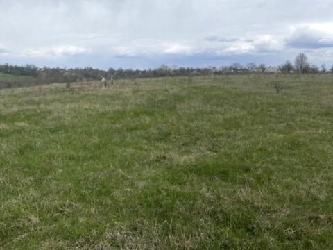 ділянка за адресою Садова