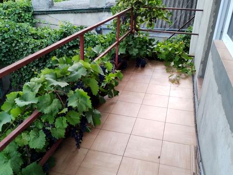 квартира за адресою Житомирська вул., 108