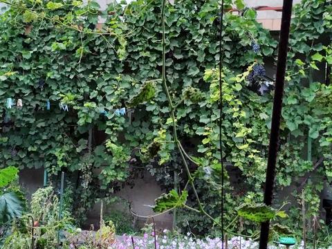 квартира за адресою Житомирська вул., 108