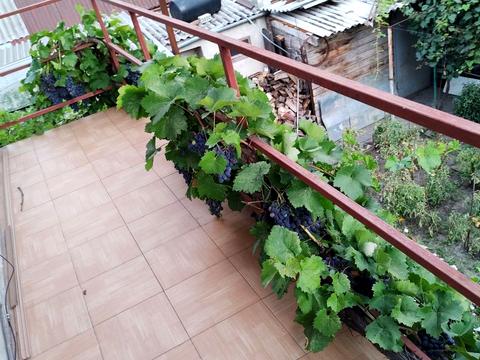 квартира за адресою Житомирська вул., 108