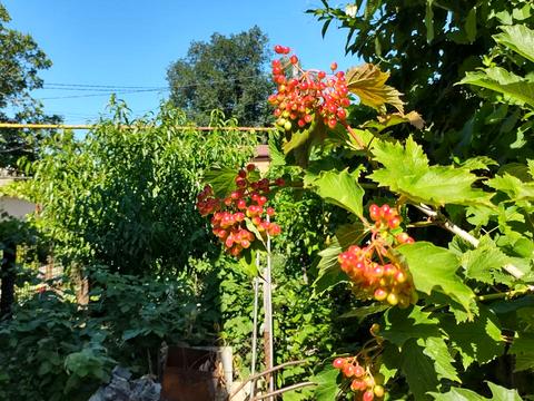 квартира за адресою Житомирська вул., 108