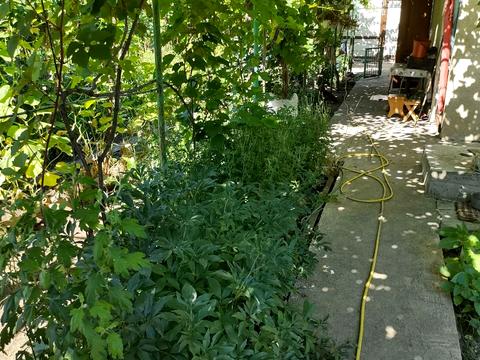 квартира за адресою Житомирська вул., 108