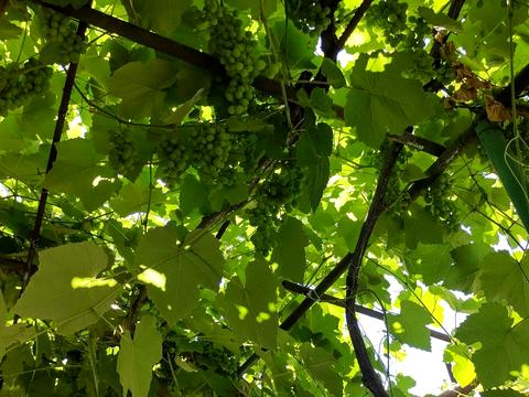 квартира за адресою Житомирська вул., 108