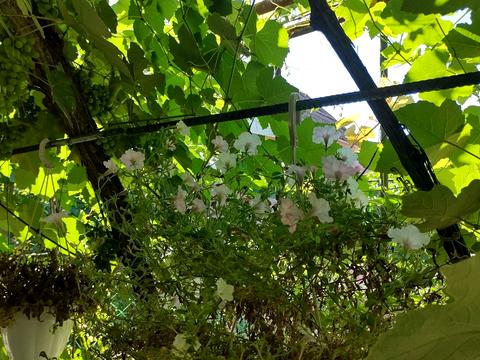 квартира за адресою Житомирська вул., 108